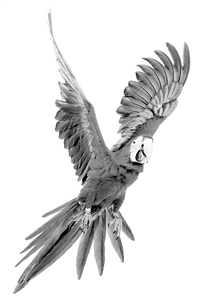 ����������ݻ����Bģ��ƌW�҂�߀�ڌ���𰸡�