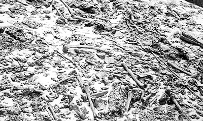 ɢ����ϲ�R����ɽ�}�R�տ�����߅�Ĵ����˹ǡ�