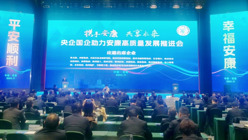 20241104/67288037d47b9.jpg 1.jpg